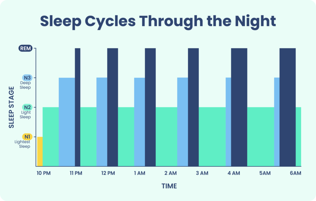 Sleep cycles diagram showing different sleep stages