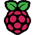 Raspberry Pi / Technology Company